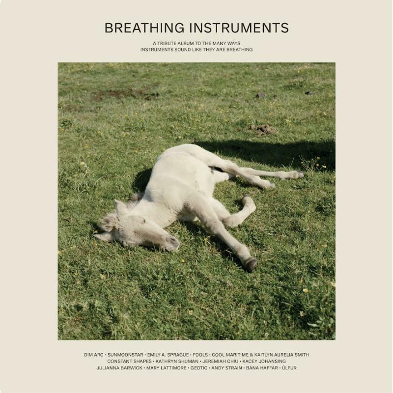 Various Artists - Breathing Instruments - TTP107
