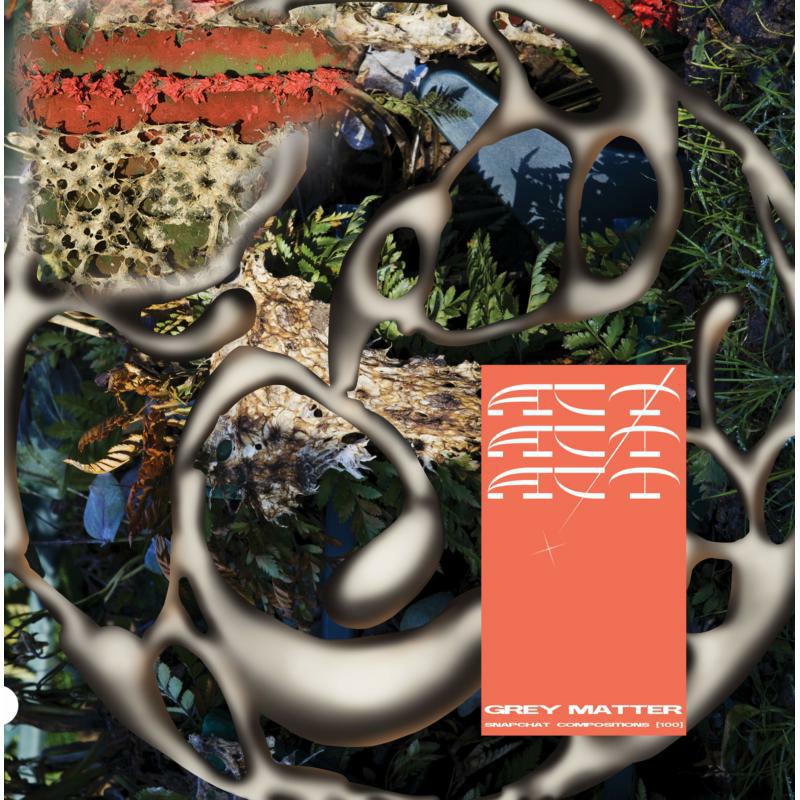 Act! - Grey Matter Ar Snapchat Compos - HTRA015