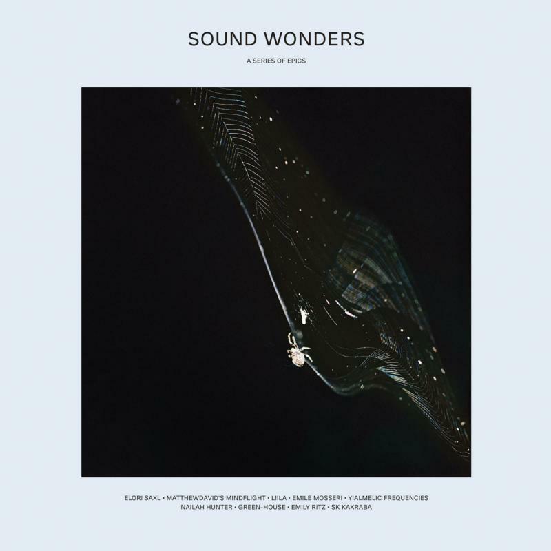 VARIOUS ARTISTS - SOUND WONDERS - TTP108