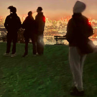 MHH - THE WISDOM OF HARRY - TEXT055CD