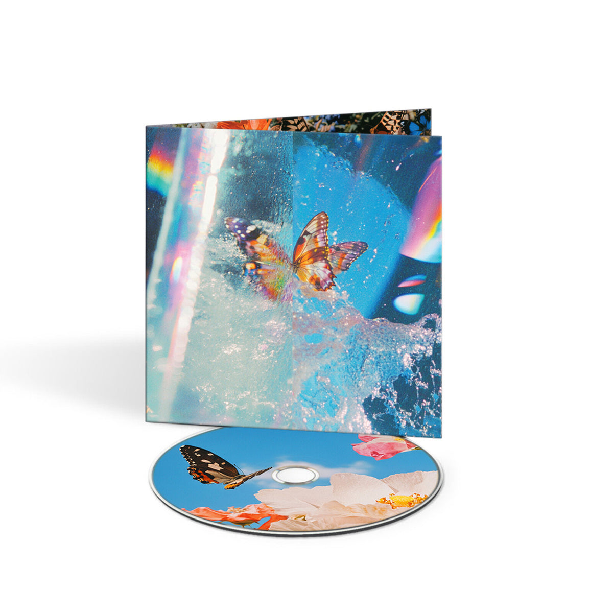 DAPHNI - BUTTERFLY - JIAOLONG034CD