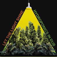 Hydroponics - Let the Light Shine - PRTLLP027