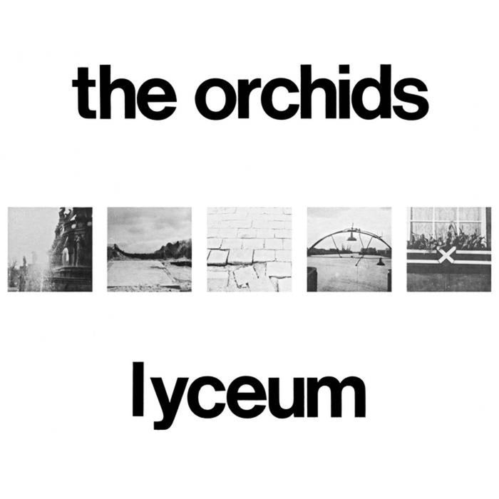 THE ORCHIDS - LYCEUM - PLEXUS001CD