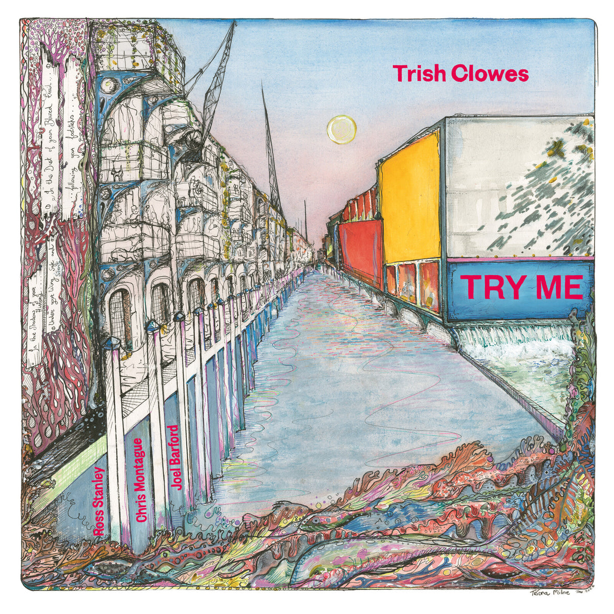Trish Clowes - Try Me - SLR2012