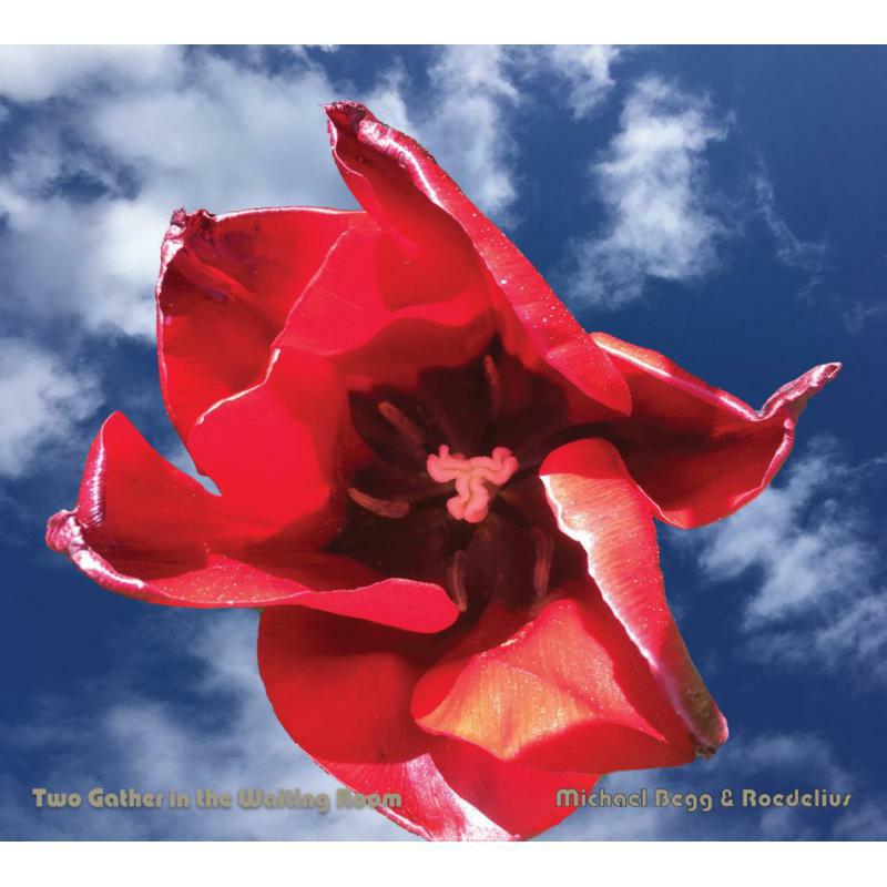 Michael Begg & Hans Joachim Roedelius - Two Gather In The Waiting Room - CDGG345