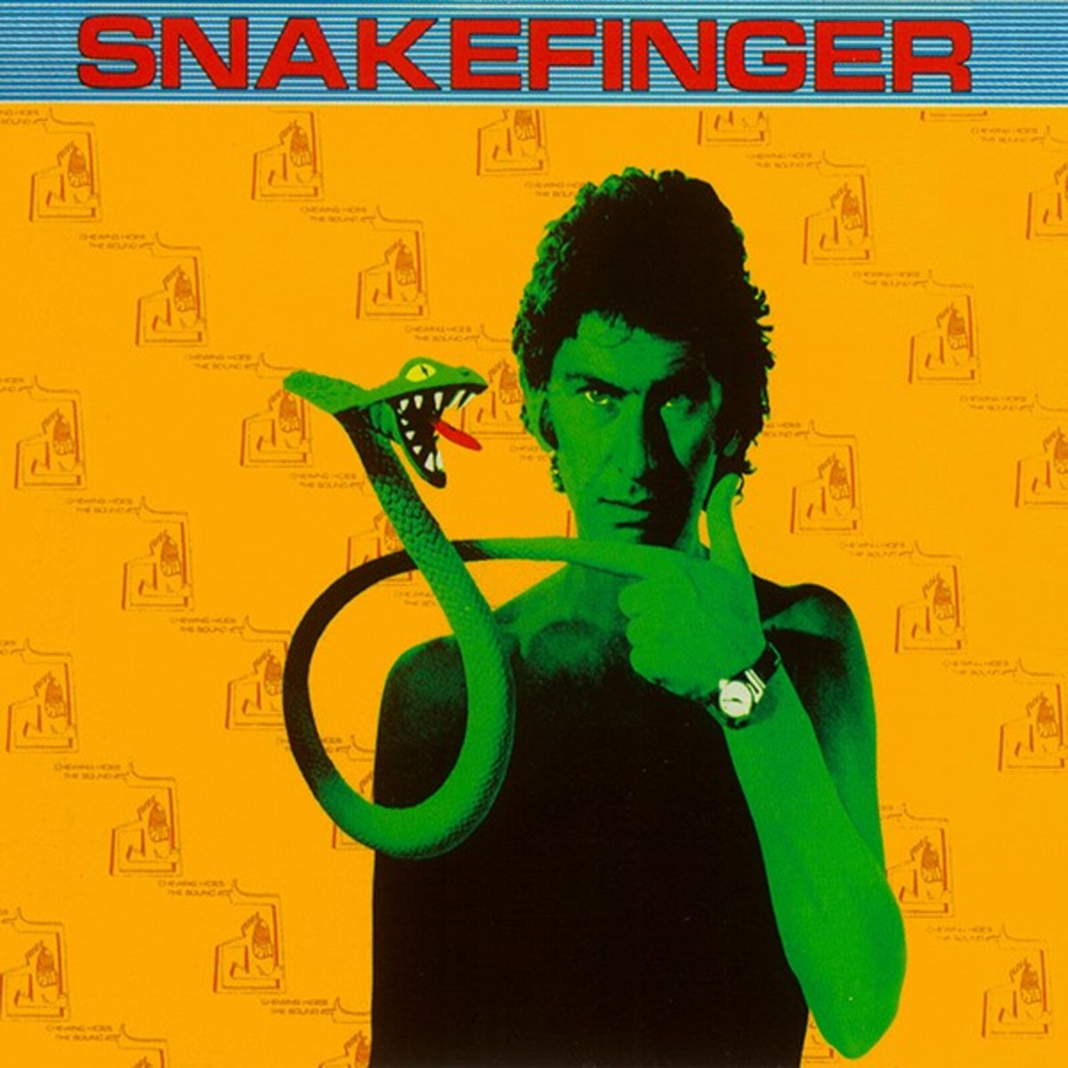 Snakefinger - Chewing Hides The Sound (Deluxe) - CDGG2202