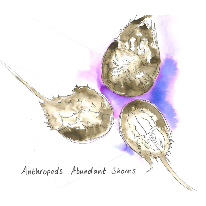 Anthropods - Abundant Shores - CDGG469