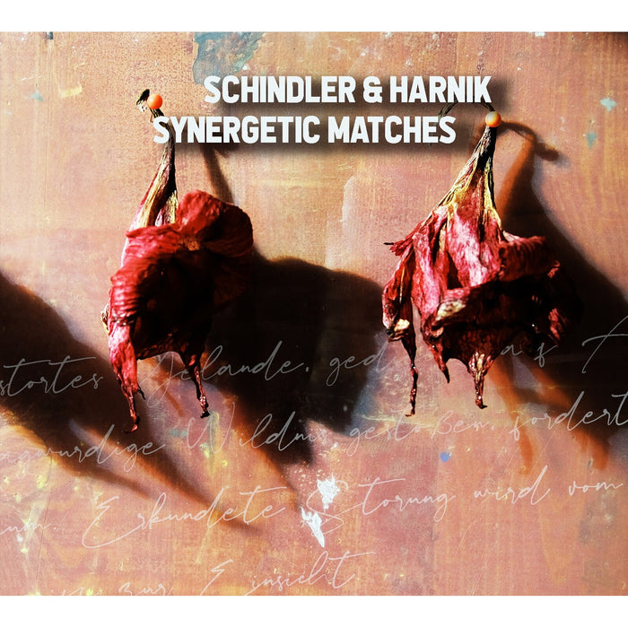 Schindler & Harnik - Synergetic Matches - CDGG475