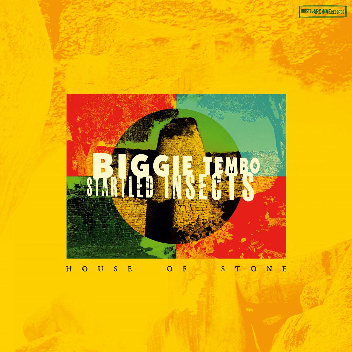Biggie Tembo & Startled Insects - Biggie Tembo & Startled Insects - ARC416V