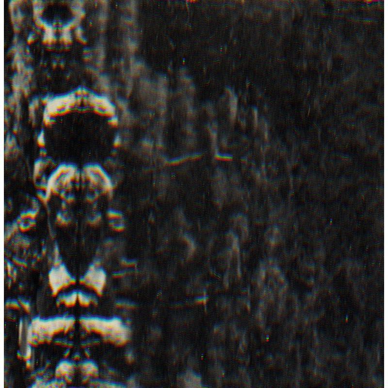 O Morto - The Forest, the people and the spirits - CREP47