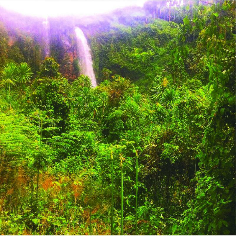 Ross Alexander - Memorias Vol1 - SUC07