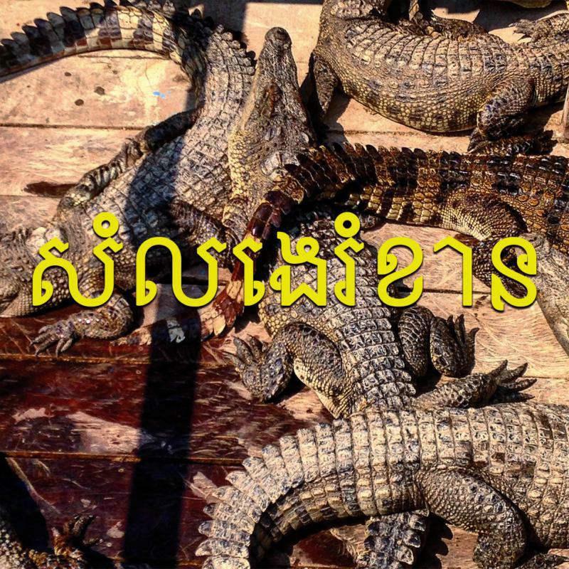 Gonzo - SE Asian Noise(s) - SUC01