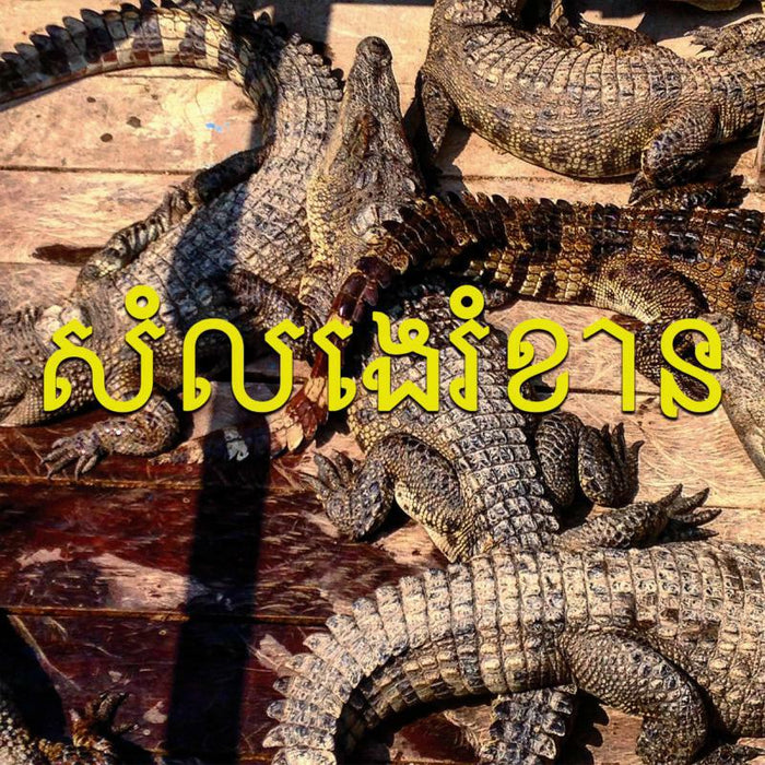 Gonzo - SE Asian Noise(s) - SUC01