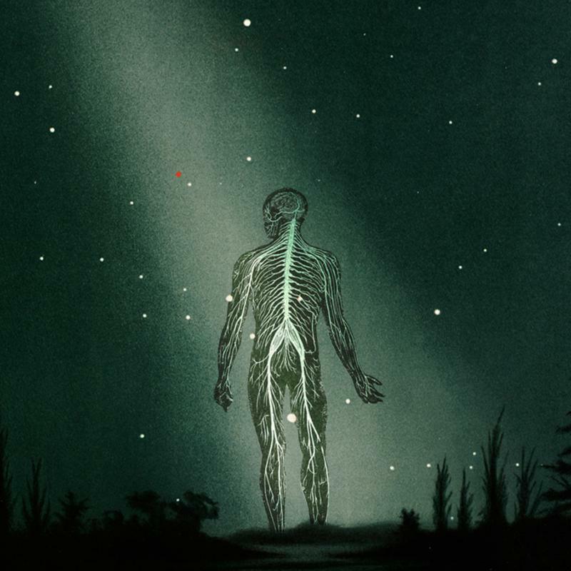 Prophetas - Maury Island Reverie - SUC37