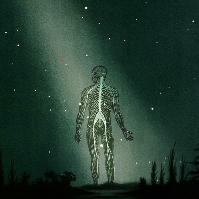 Prophetas - Maury Island Reverie - SUC37