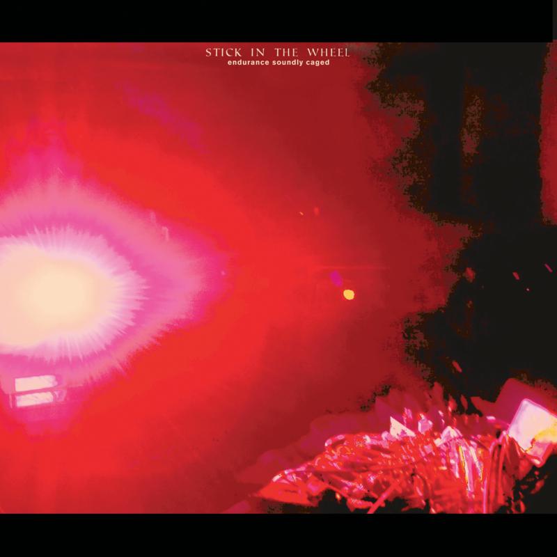 Stick In The Wheel - Endurance Soundly Caged (LP) - SITW020LP