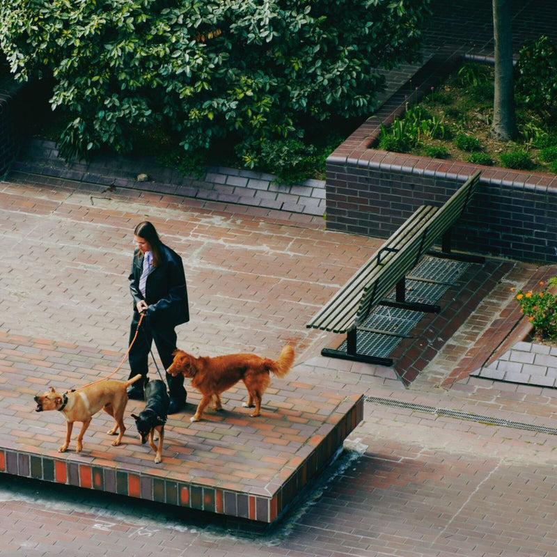 SAINT DX - Way Back Home - BEC5613177