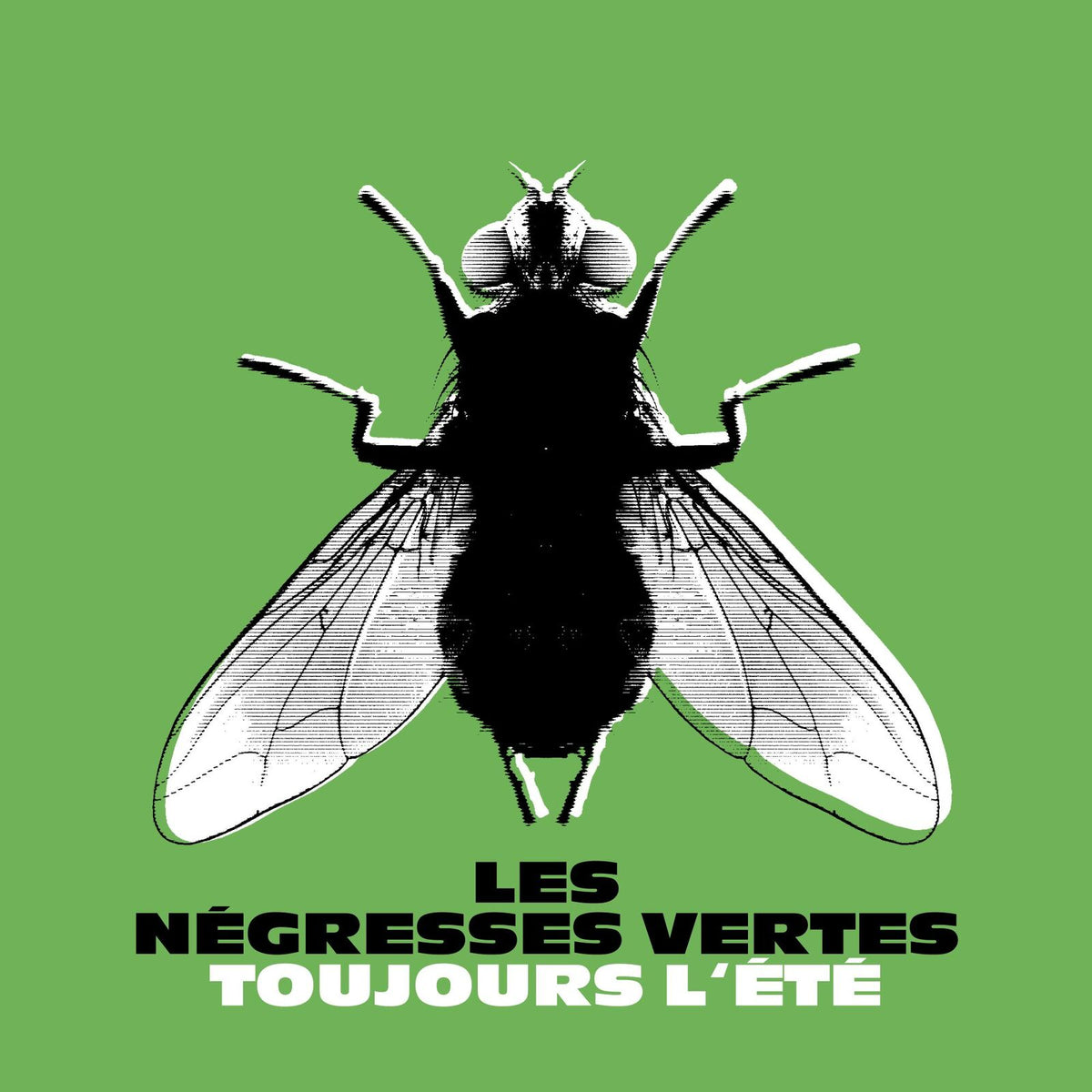 Les Negresses Vertes - Toujours l'ete (Best Of) - BEC5613970