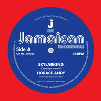 Andy Horace - Skylarking / Version - JR7020