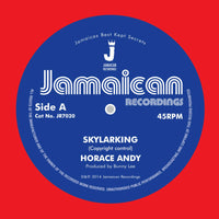 Andy Horace - Skylarking / Version - JR7020