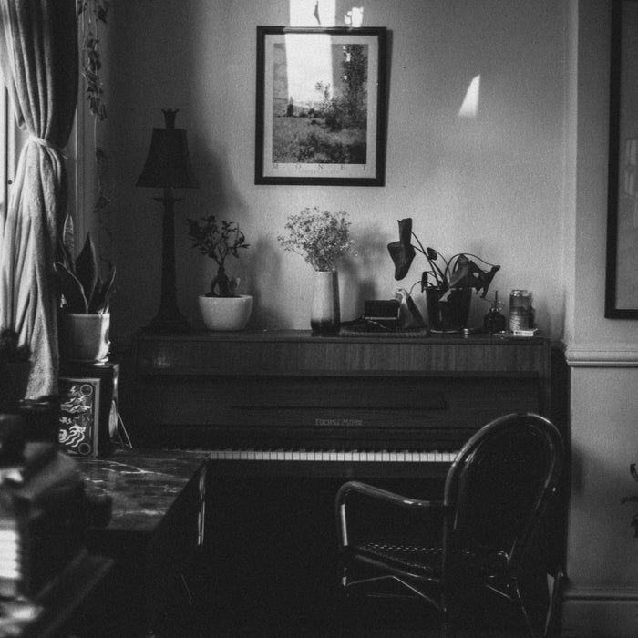 STRAWBERRY GUY - F SONG & MRS MAGIC (STRINGS VERSIONS) - MELO138