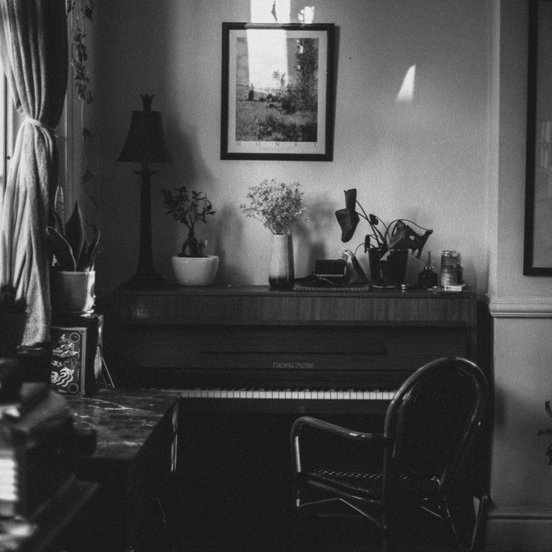 STRAWBERRY GUY - F SONG & MRS MAGIC (STRINGS VERSIONS) - MELO138