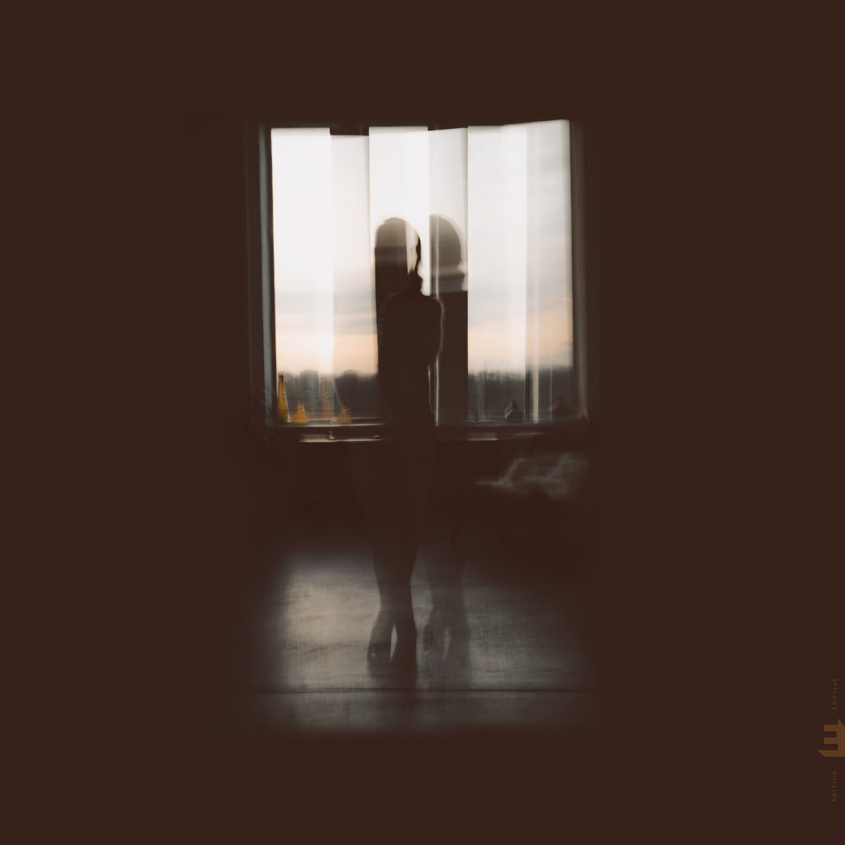 Miho Hazama - Frames - EDNLP1296