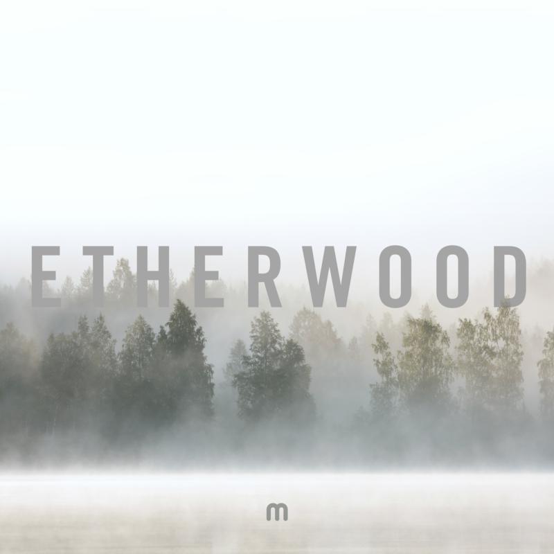 Etherwood - In Stillness - MEDIC77CD