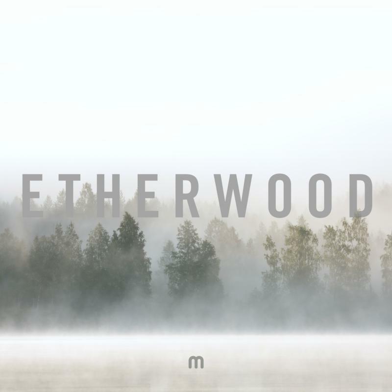 Etherwood - In Stillness - MEDIC77LP