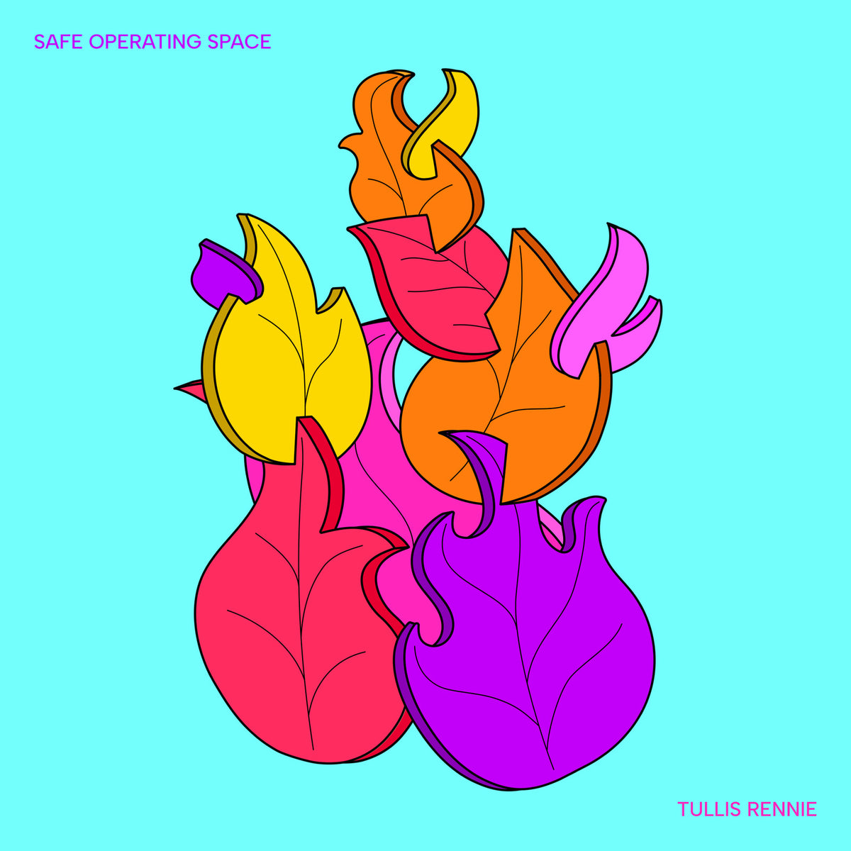 Tullis Rennie - Safe Operating Space - FP052