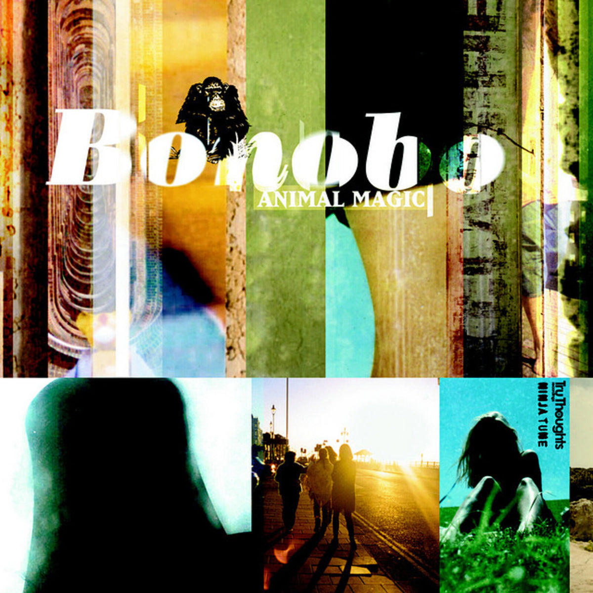 Bonobo - Animal Magic - TRUCAS007