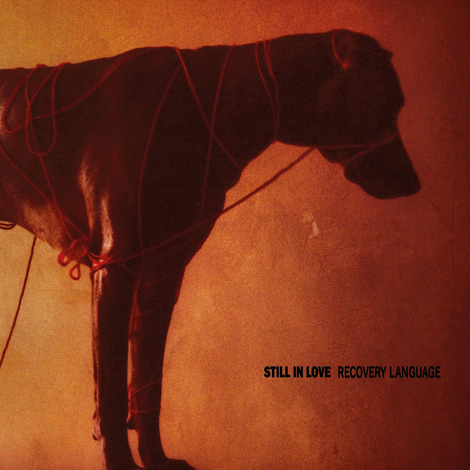 Still In Love: Recovery Language – Proper Music