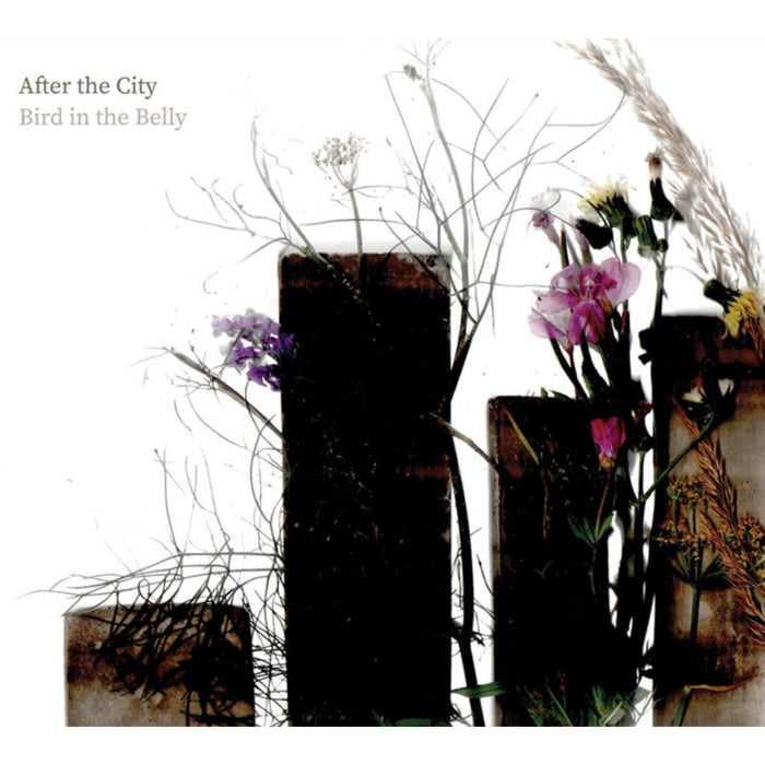 Bird In The Belly - After The City - GFM0013