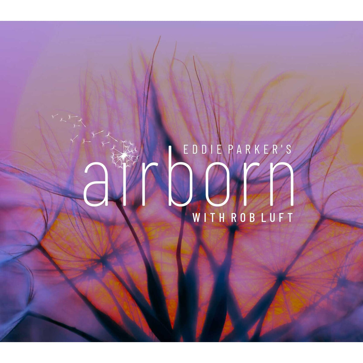 Eddie Parker's Airborn & Rob Luft - Airborn - PIG22