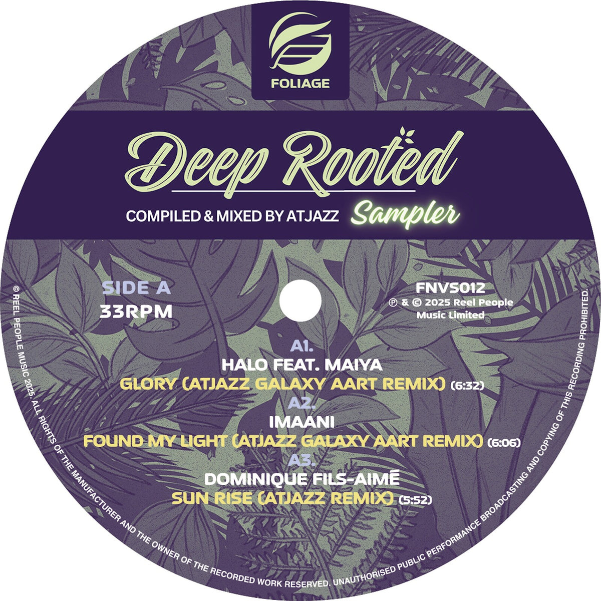 Various Artists - Deep Rooted (Compiled and mixed by Atjazz) - Vinyl Sampler - FNVS012