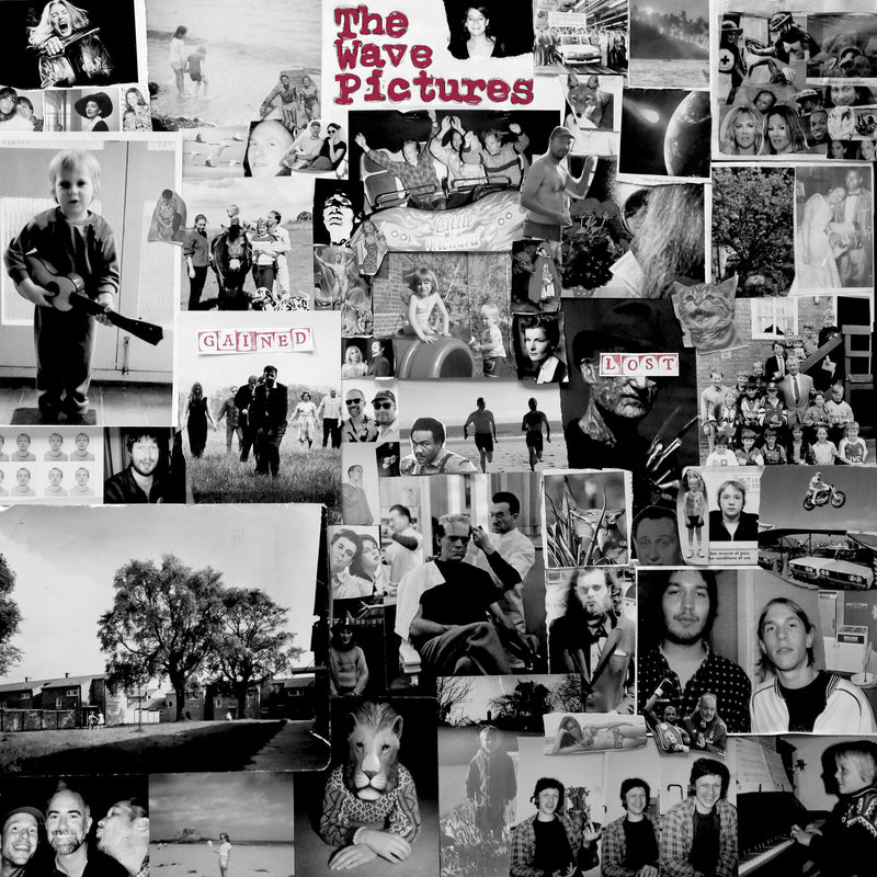 The Wave Pictures - Gained/Lost - BELLA1699CD