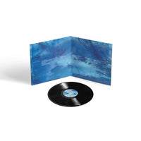 Ed O'Brien - Blue Morpho - TRANS955X