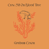 Graham Coxon - Crow Sit On Blood Tree - TRANS933X