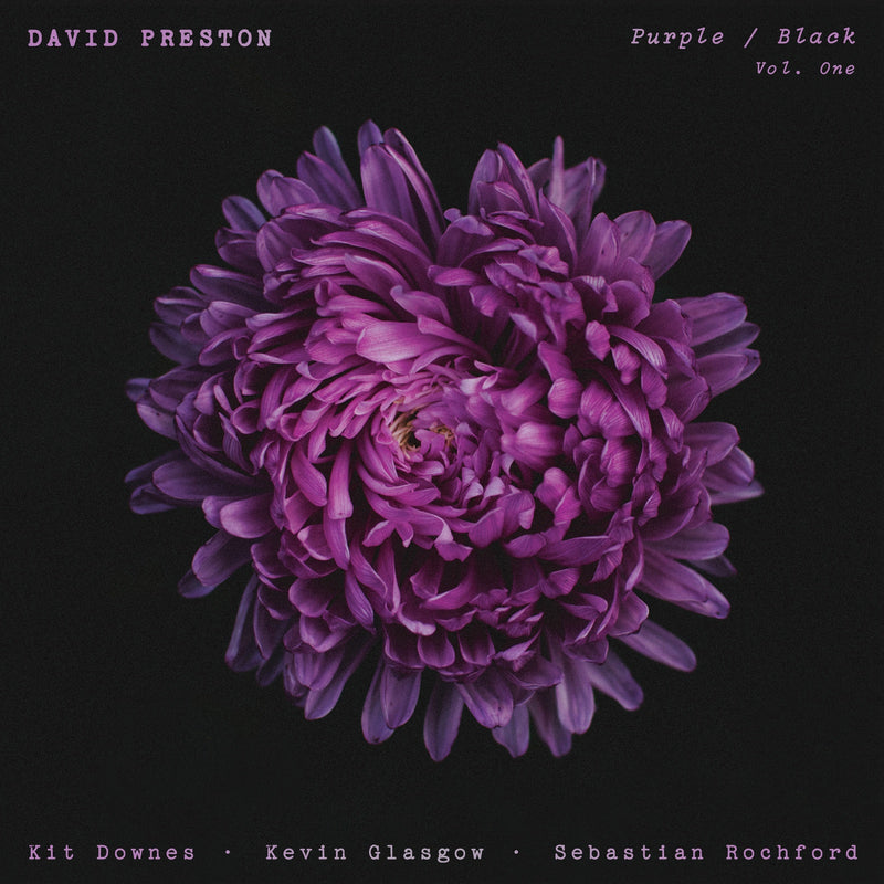 David Preston - Purple / Black Vol.1 - WR4804LP