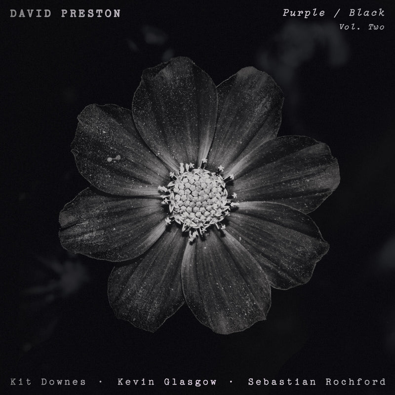 David Preston - Volume 2 - Purple/Black - WR4826