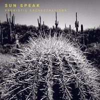 Sun Speak - Probiotic Orchestrations - WR4843