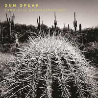 Sun Speak - Probiotic Orchestrations - WR4843LP