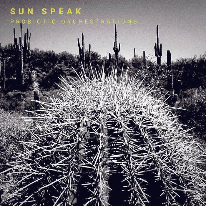 Sun Speak - Probiotic Orchestrations - WR4843LP