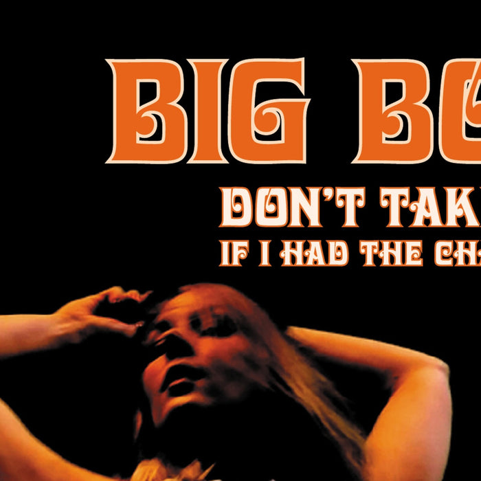 Big Boss Man - Don't Take My Baby Away - SN172