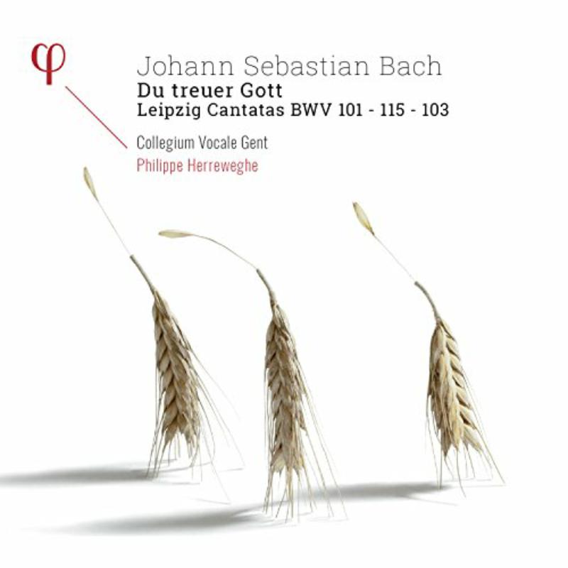 J. S. Bach - 103 & 1 Kantaten Bwv 101 - LPH027