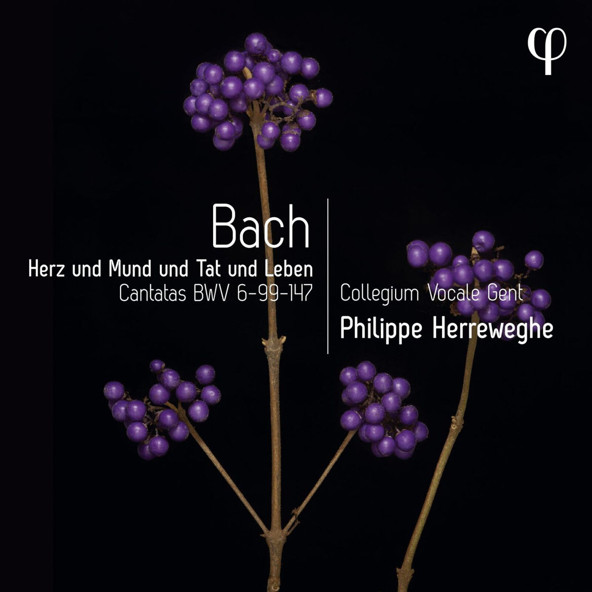 Collegium Vocale Gent; Philippe Herreweghe - Herz und Mund und Tat und Leben - Bach:Cantatas BWV6-99-147 - LPH041