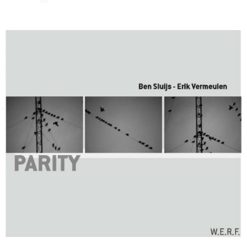Sluijs/Vermeulen - Parity - WERF086
