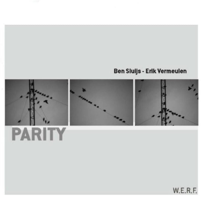 Sluijs/Vermeulen - Parity - WERF086
