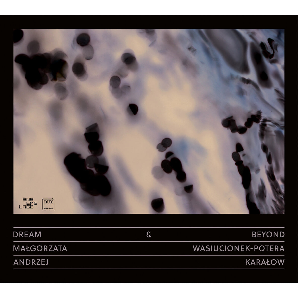 Malgorzata Wasiucionek-Potera; Andrzej Karalow - Dream & Beyond - DUX2250