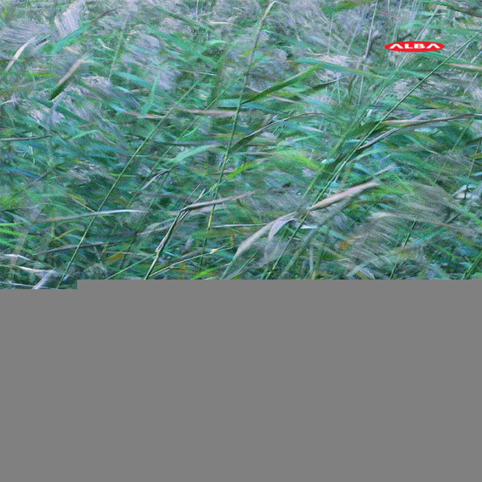 Sinfonietta/Slobodeniouk - Kymiscenes - ABCD235